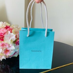 Tiffany & Co. Shopping bag Empty NEW obtained in December 2024 excellent conditi